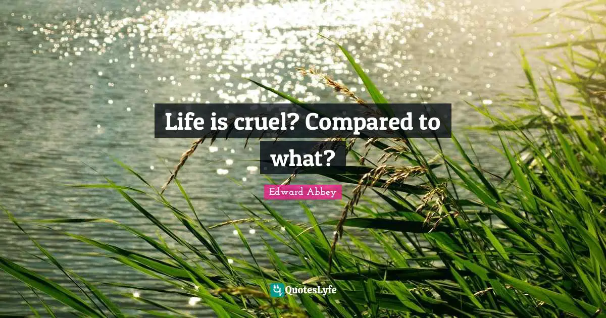 Life is cruel? Compared to what?