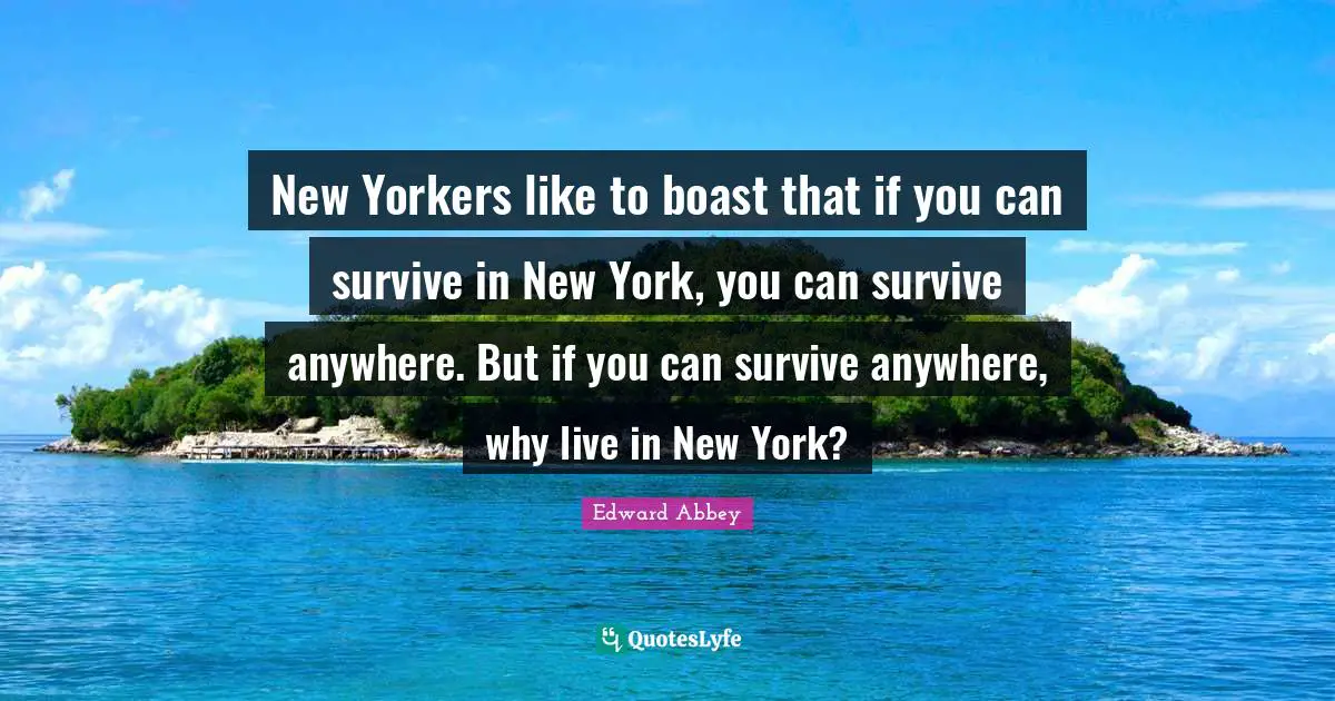 New Yorkers like to boast that if you can survive in New York, you can survive anywhere. But if you can survive anywhere, why live in New York?