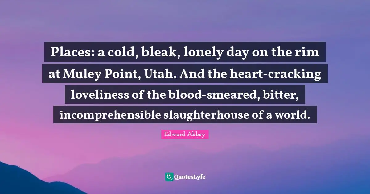 Places: a cold, bleak, lonely day on the rim at Muley Point, Utah. And the heart-cracking loveliness of the blood-smeared, bitter, incomprehensible slaughterhouse of a world.