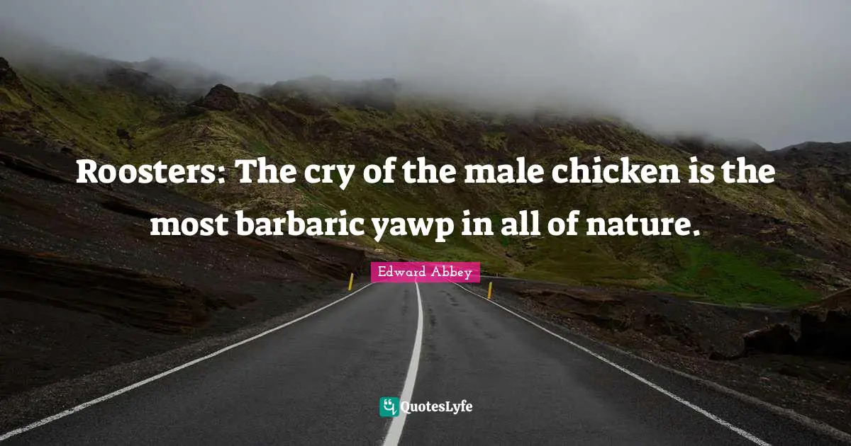 Barbaric Quotes: "Roosters: The cry of the male chicken is the most barbaric yawp in all of nature."