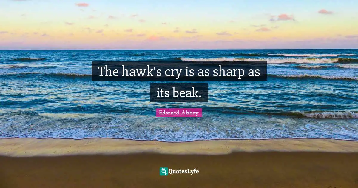 The hawk's cry is as sharp as its beak.