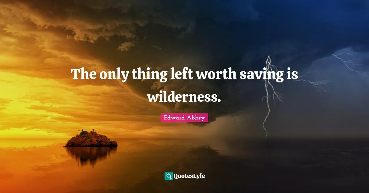 The only thing left worth saving is wilderness.