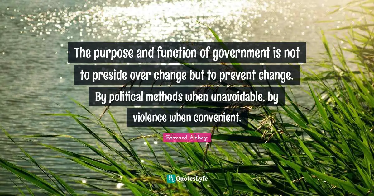 The purpose and function of government is not to preside over change but to prevent change. By political methods when unavoidable, by violence when convenient.