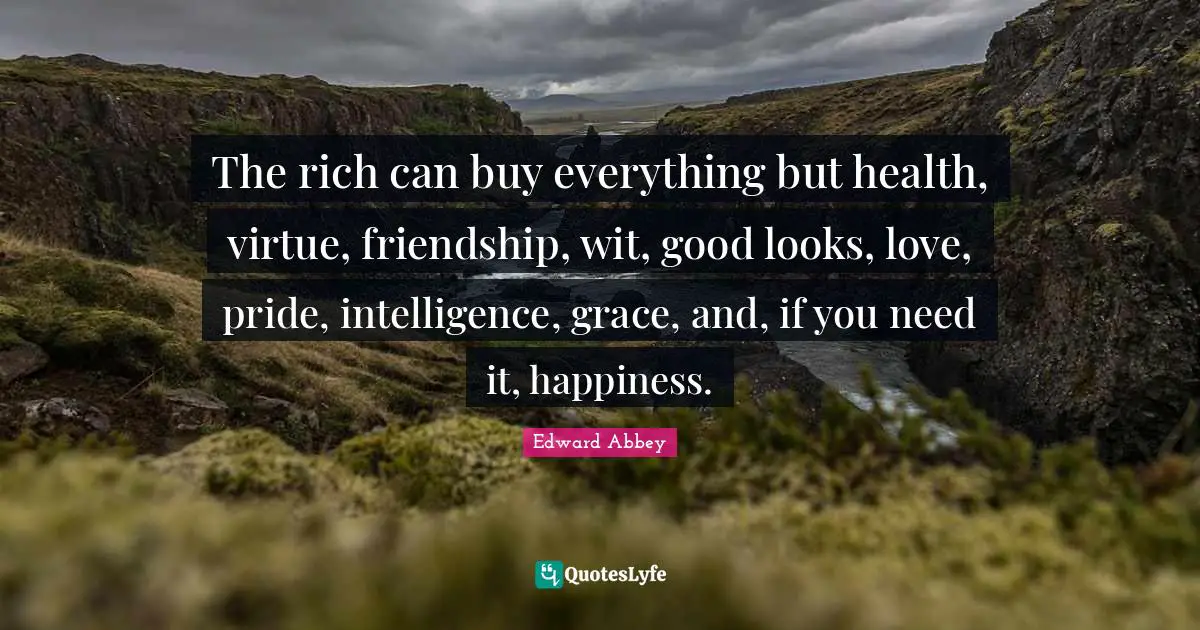 The rich can buy everything but health, virtue, friendship, wit, good looks, love, pride, intelligence, grace, and, if you need it, happiness.