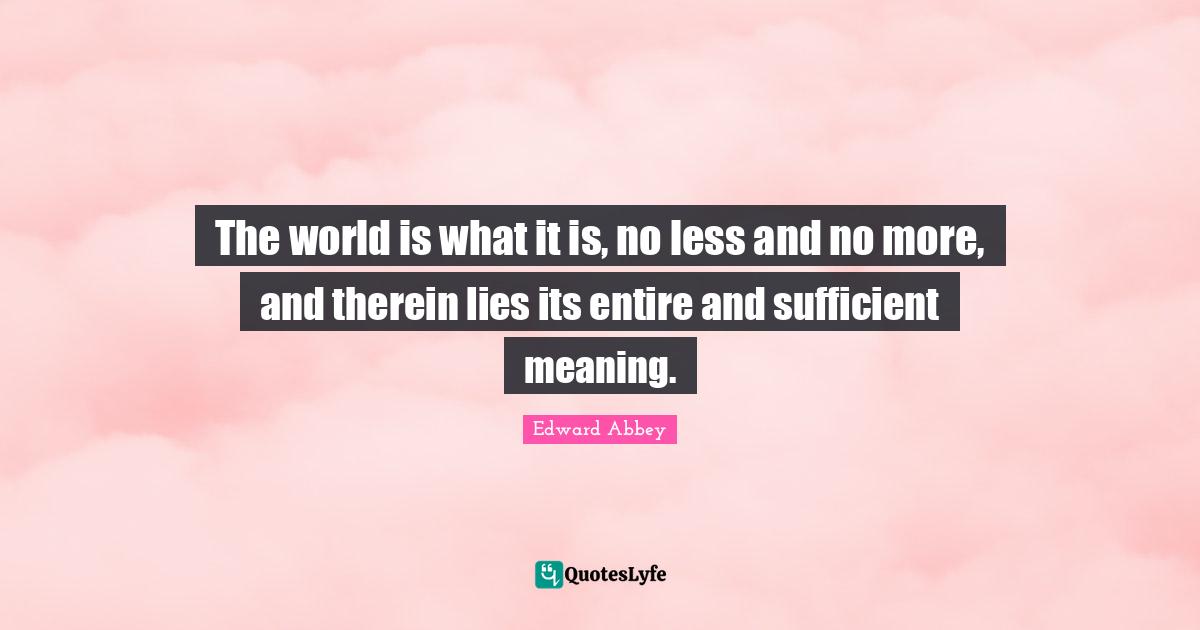 The world is what it is, no less and no more, and therein lies its entire and sufficient meaning.