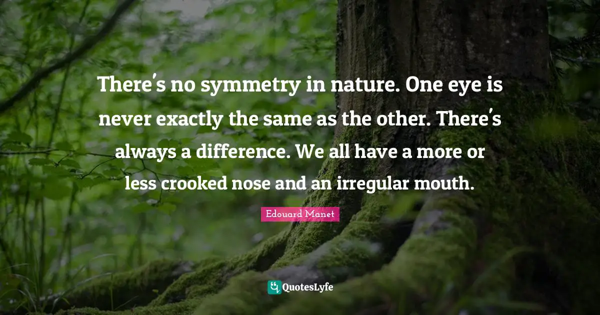 There's no symmetry in nature. One eye is never exactly the same as the other. There's always a difference. We all have a more or less crooked nose and an irregular mouth.
