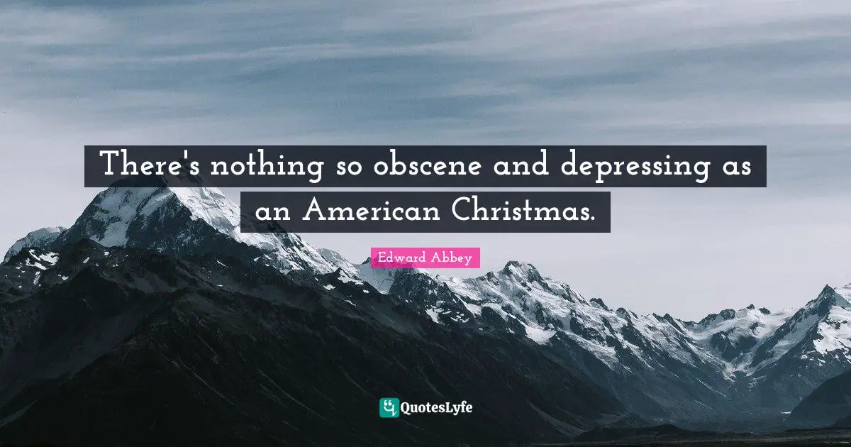 There's nothing so obscene and depressing as an American Christmas.