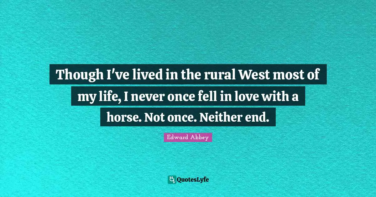 Though I've lived in the rural West most of my life, I never once fell in love with a horse. Not once. Neither end.