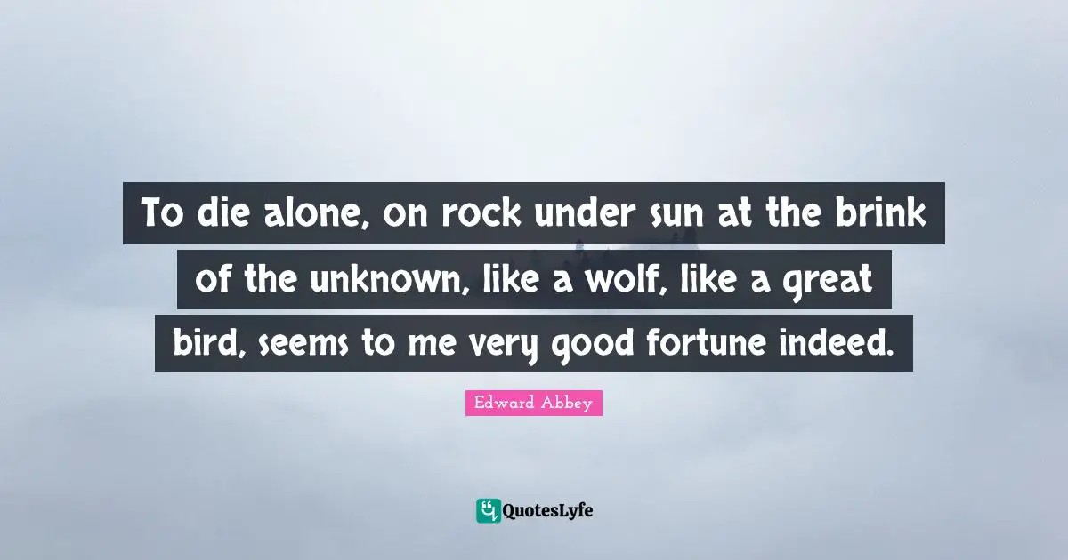 To die alone, on rock under sun at the brink of the unknown, like a wolf, like a great bird, seems to me very good fortune indeed.