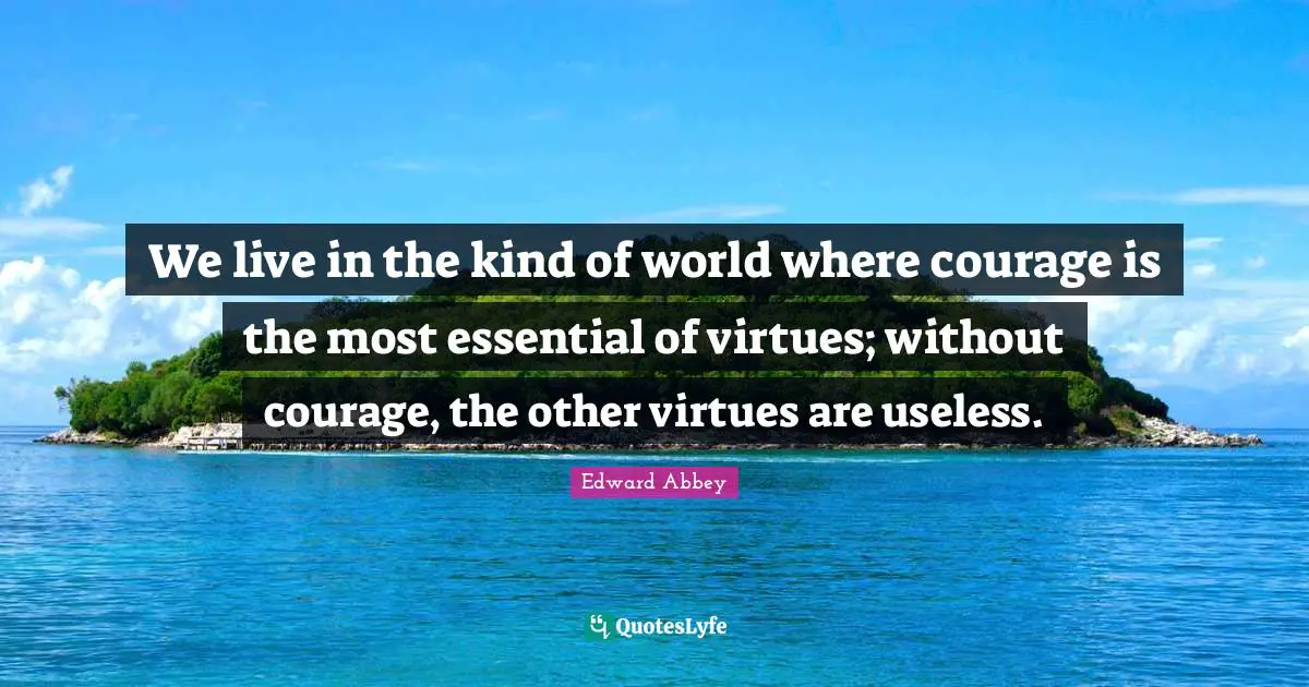 We live in the kind of world where courage is the most essential of virtues; without courage, the other virtues are useless.
