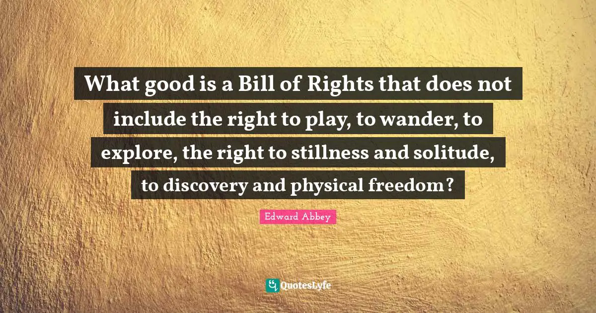 What good is a Bill of Rights that does not include the right to play, to wander, to explore, the right to stillness and solitude, to discovery and physical freedom?
