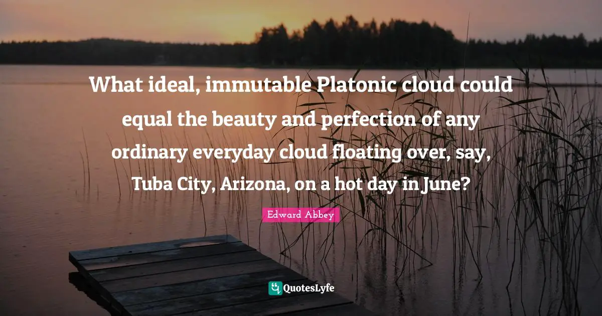 Platonic Quotes: "What ideal, immutable Platonic cloud could equal the beauty and perfection of any ordinary everyday cloud floating over, say, Tuba City, Arizona, on a hot day in June?"