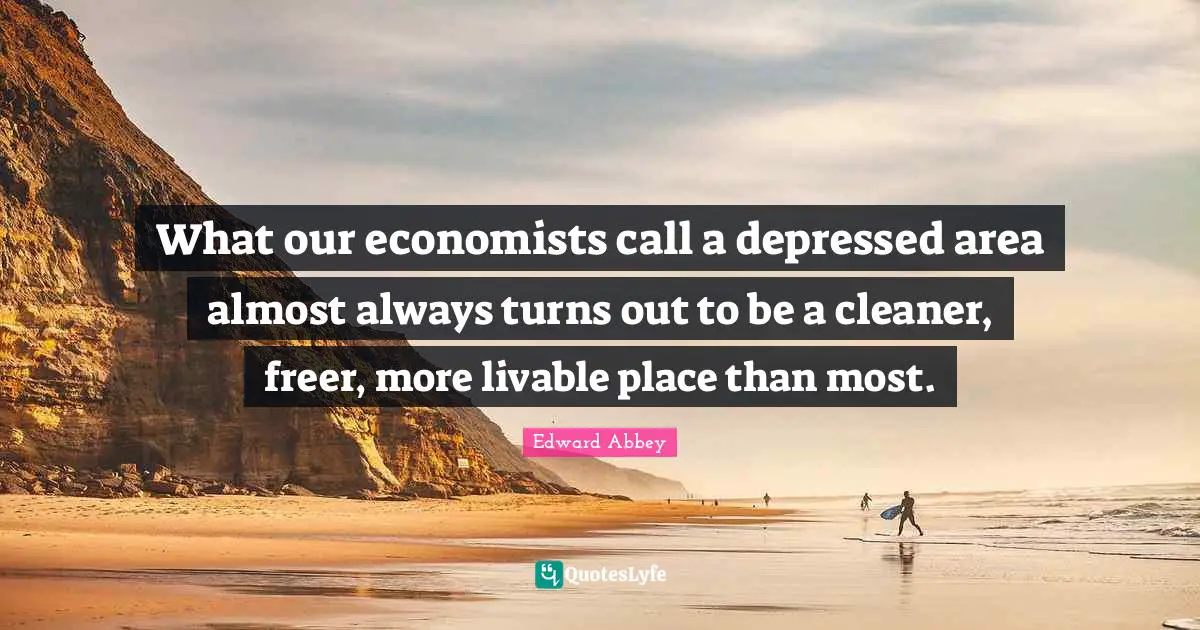 What our economists call a depressed area almost always turns out to be a cleaner, freer, more livable place than most.