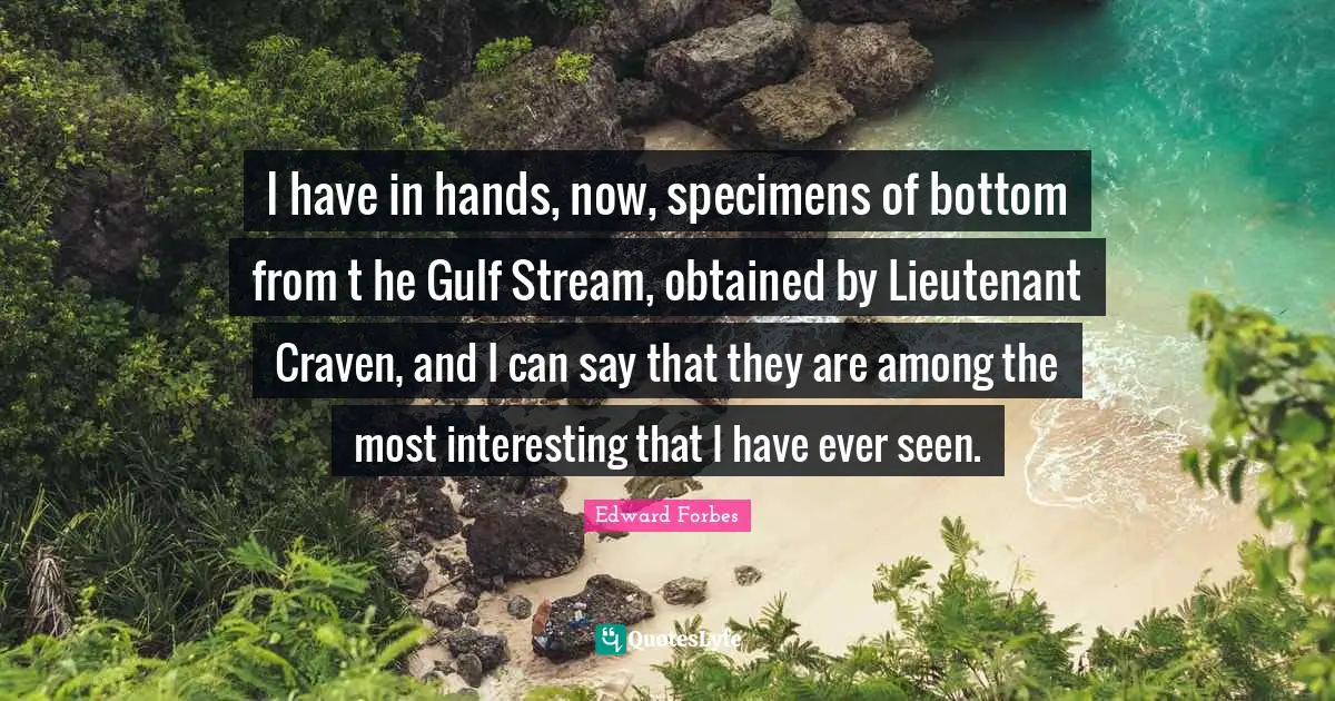 I have in hands, now, specimens of bottom from t he Gulf Stream, obtained by Lieutenant Craven, and I can say that they are among the most interesting that I have ever seen.