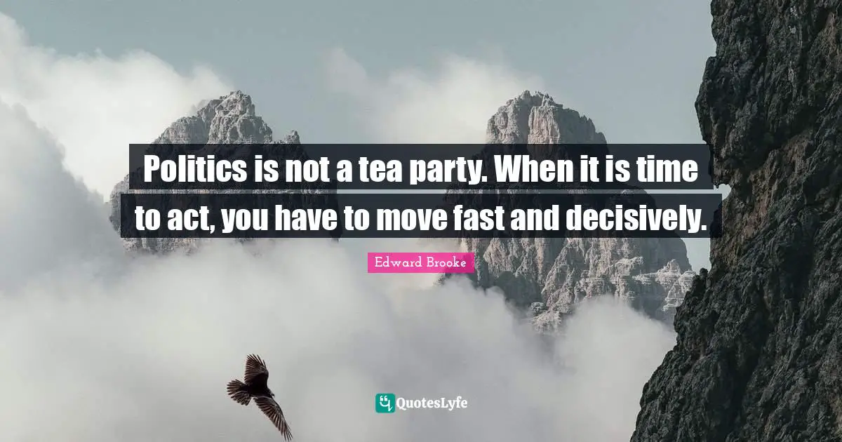 Politics is not a tea party. When it is time to act, you have to move fast and decisively.