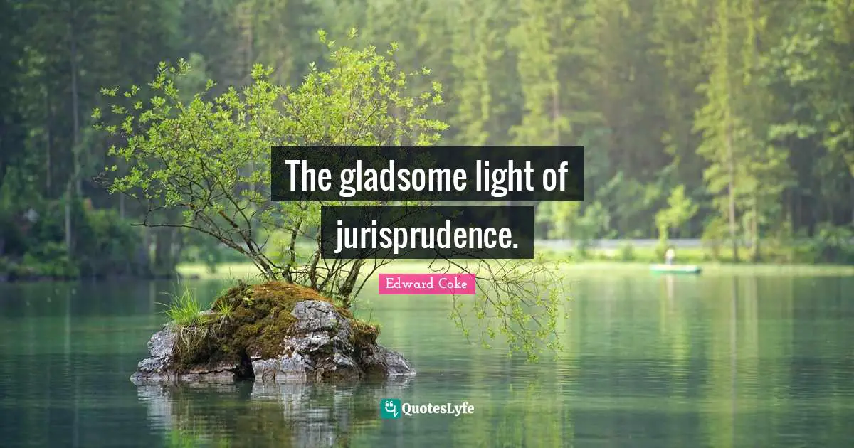 The gladsome light of jurisprudence.