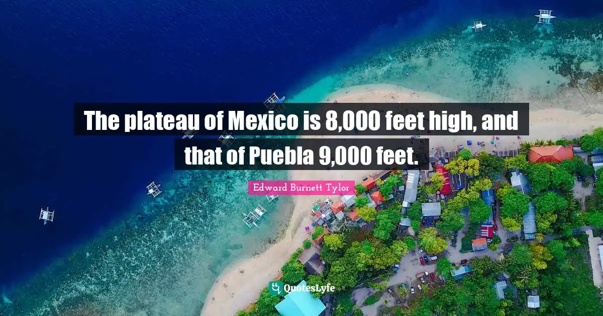 Edward Burnett Tylor Quotes: The plateau of Mexico is 8,000 feet high, and that of Puebla 9,000 feet.