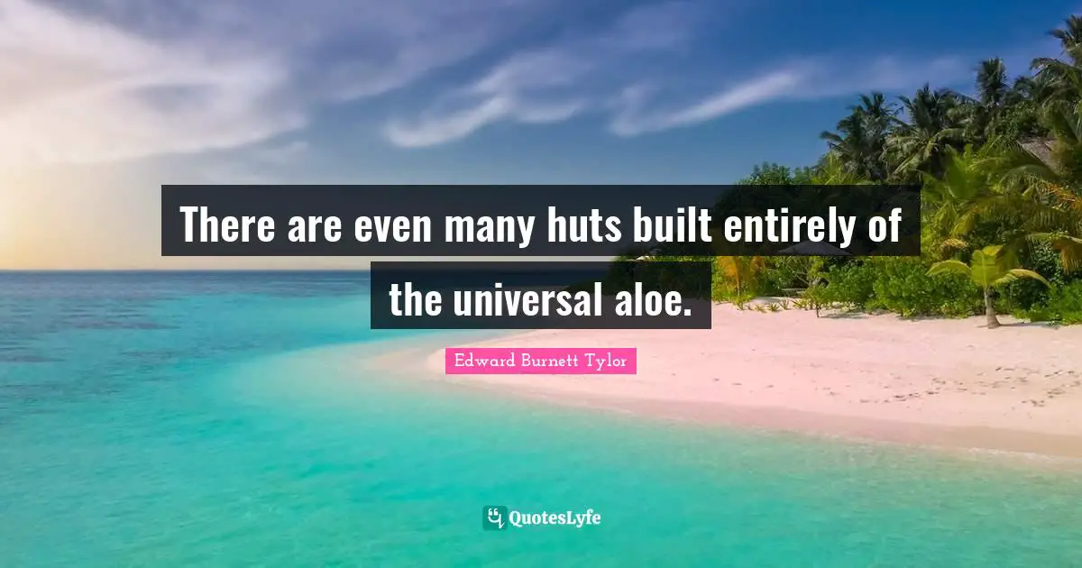 Edward Burnett Tylor Quotes: There are even many huts built entirely of the universal aloe.