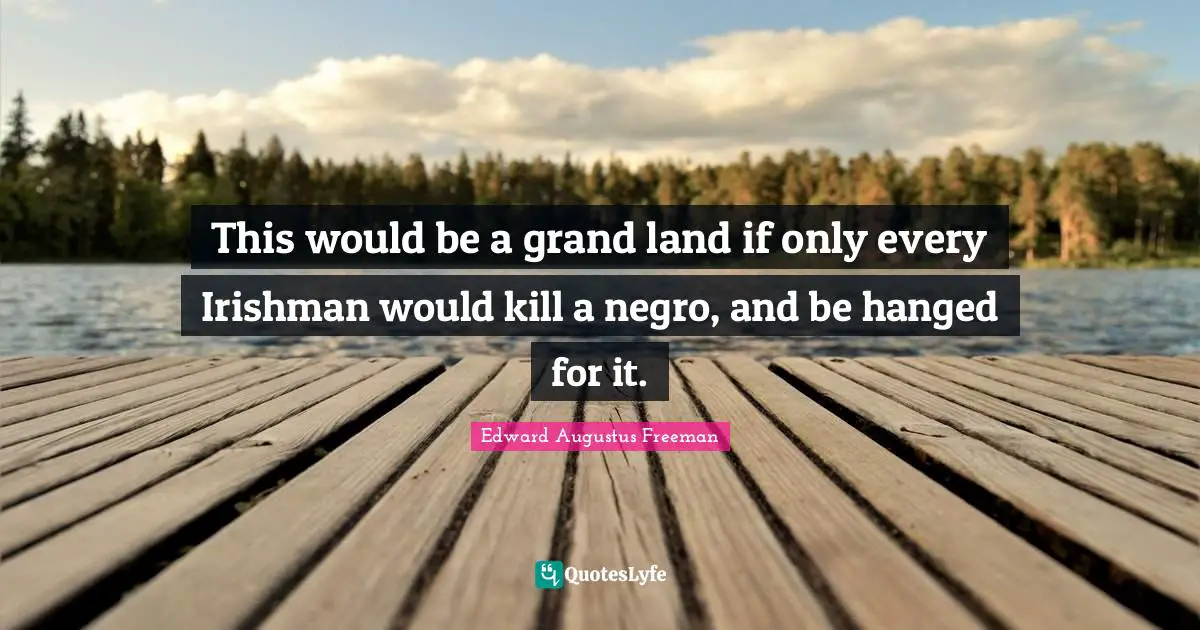This would be a grand land if only every Irishman would kill a negro, and be hanged for it.