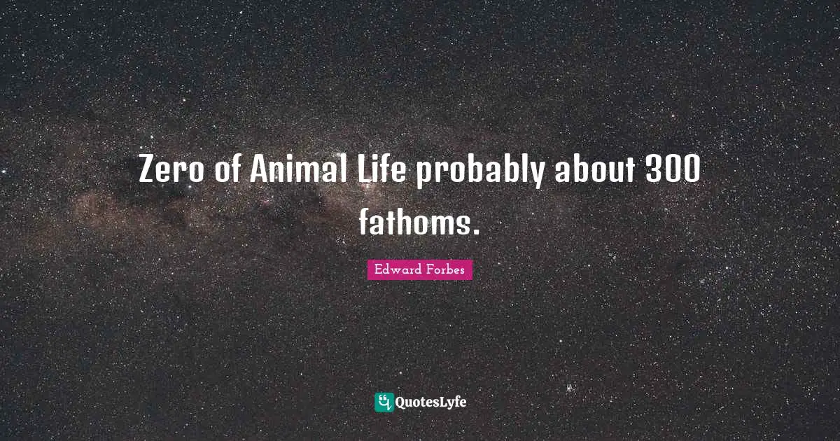Zero of Animal Life probably about 300 fathoms.