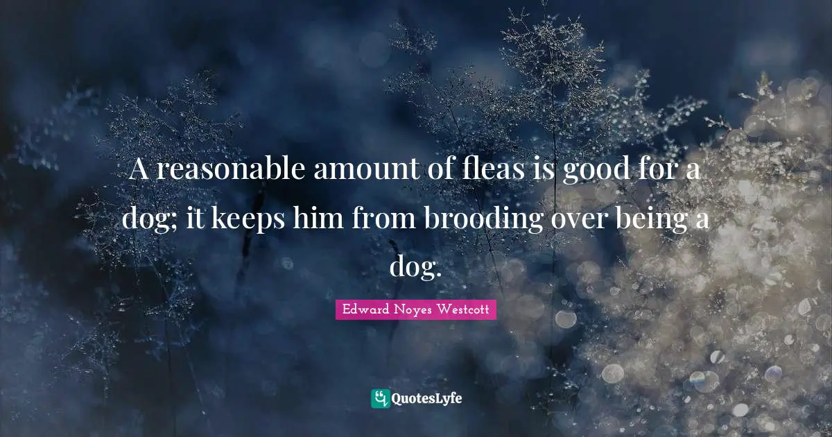 A reasonable amount of fleas is good for a dog; it keeps him from brooding over being a dog.