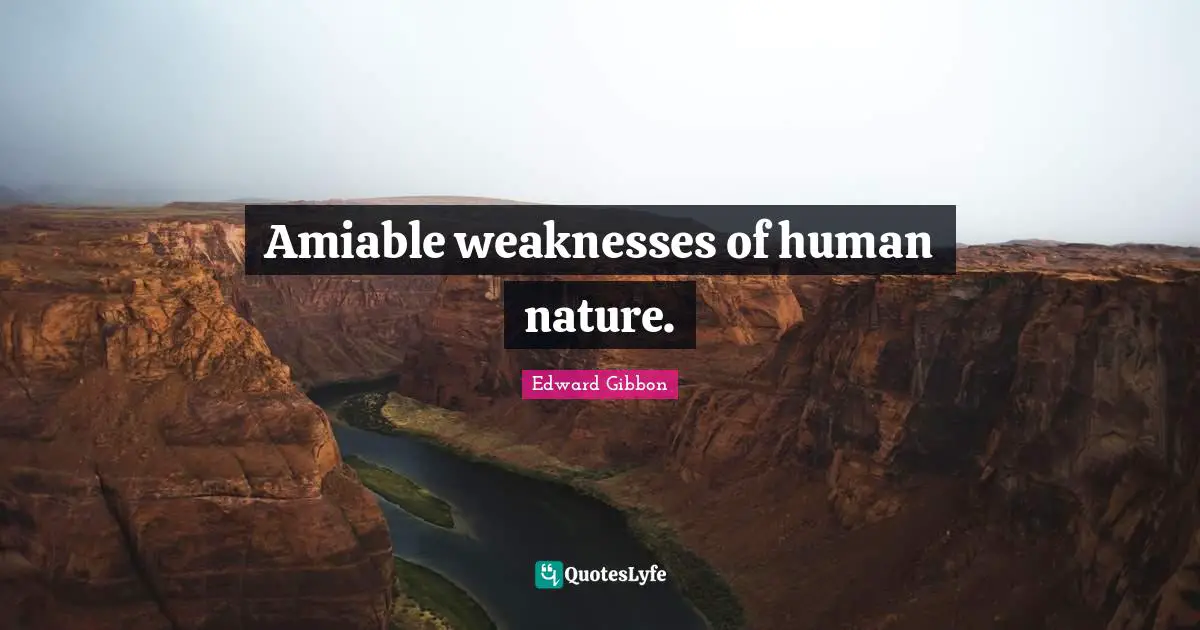 Amiable weaknesses of human nature.