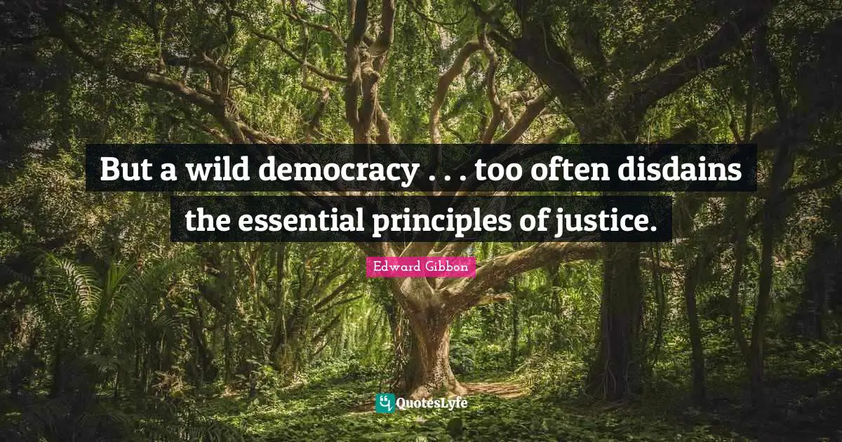 But a wild democracy . . . too often disdains the essential principles of justice.