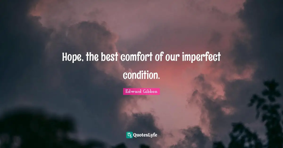 Hope, the best comfort of our imperfect condition.