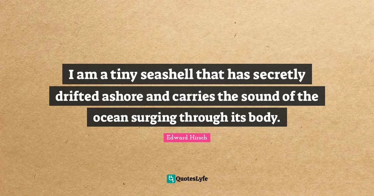 I am a tiny seashell that has secretly drifted ashore and carries the sound of the ocean surging through its body.