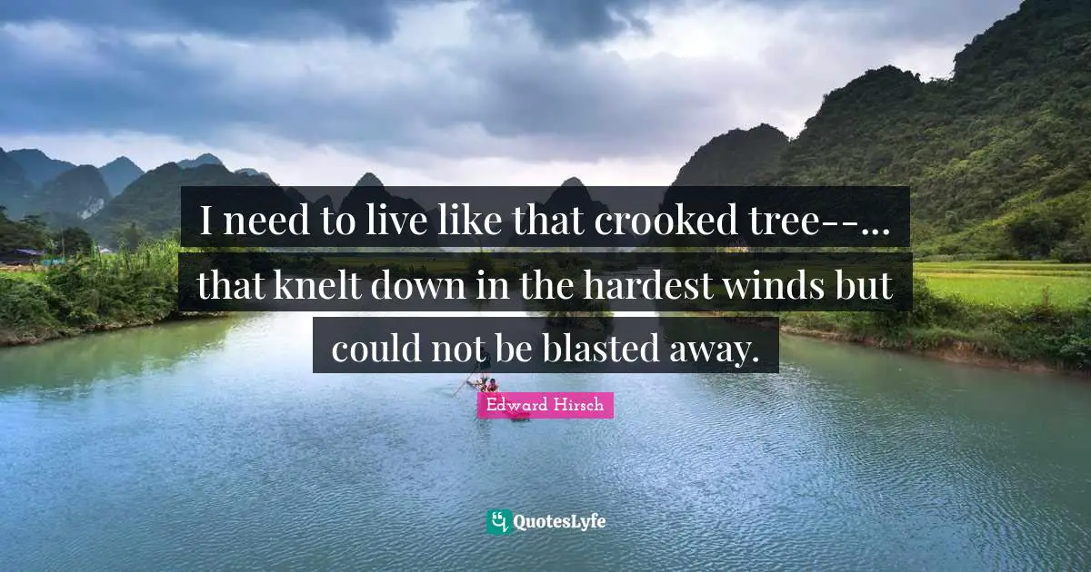 I need to live like that crooked tree--... that knelt down in the hardest winds but could not be blasted away.