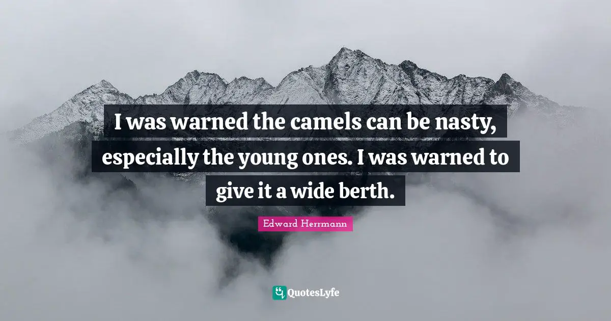 Camels Quotes: "I was warned the camels can be nasty, especially the young ones. I was warned to give it a wide berth."