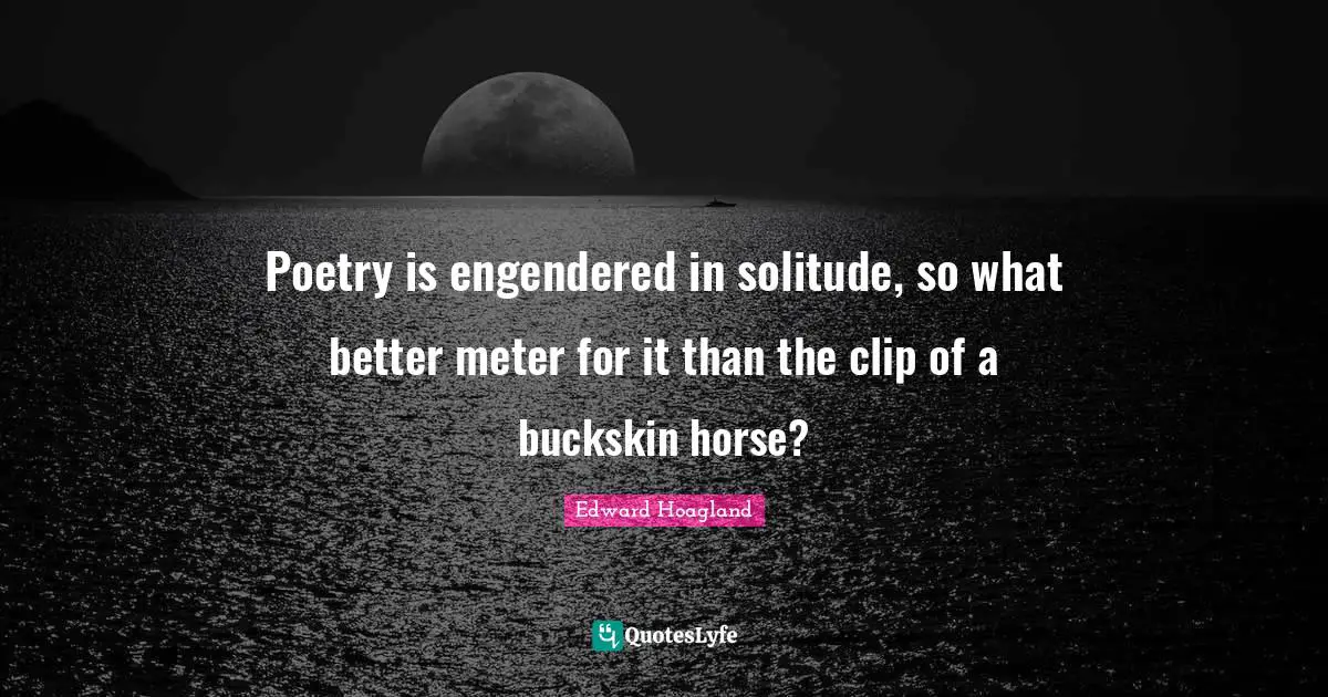 Poetry is engendered in solitude, so what better meter for it than the clip of a buckskin horse?
