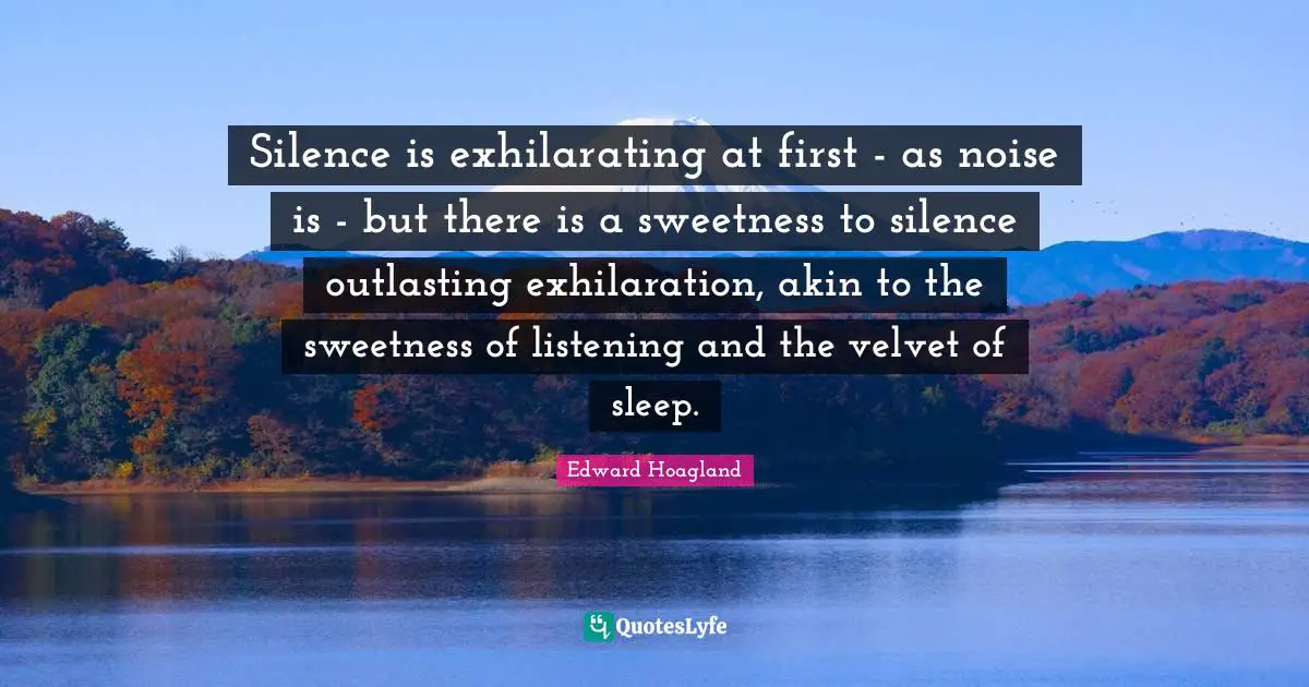 Silence is exhilarating at first - as noise is - but there is a sweetness to silence outlasting exhilaration, akin to the sweetness of listening and the velvet of sleep.