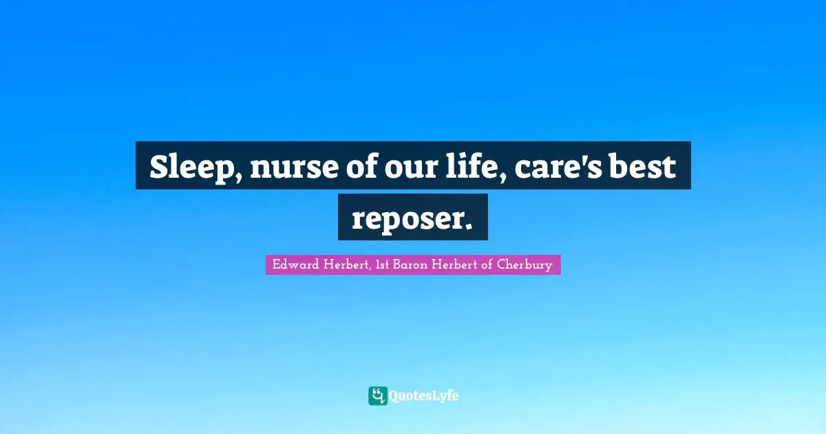 Sleep, nurse of our life, care's best reposer.