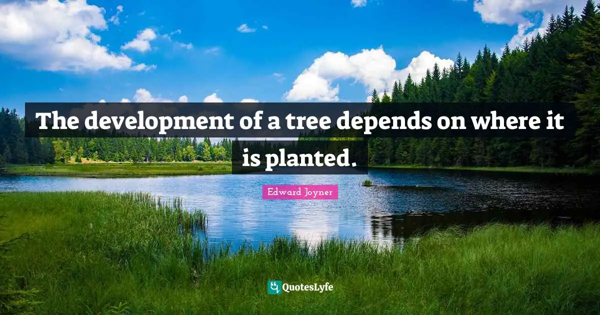 The development of a tree depends on where it is planted.