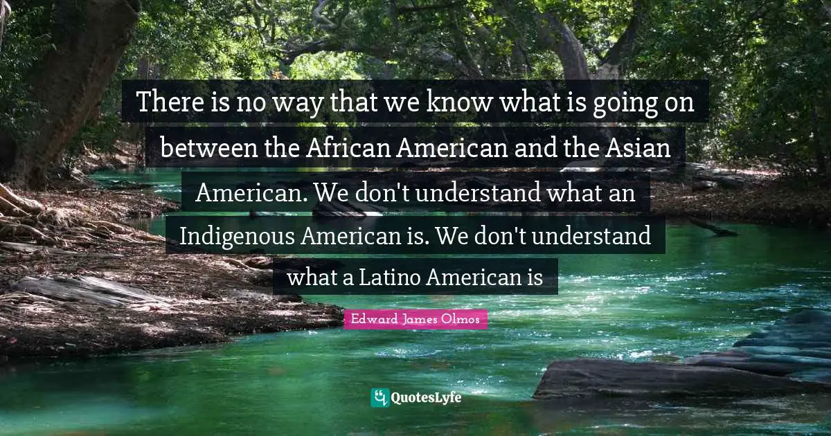 Latino Quotes: "There is no way that we know what is going on between the African American and the Asian American. We don't understand what an Indigenous American is. We don't understand what a Latino American is"