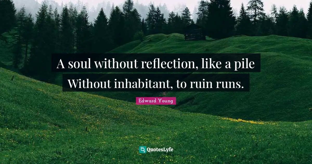 A soul without reflection, like a pile Without inhabitant, to ruin runs.