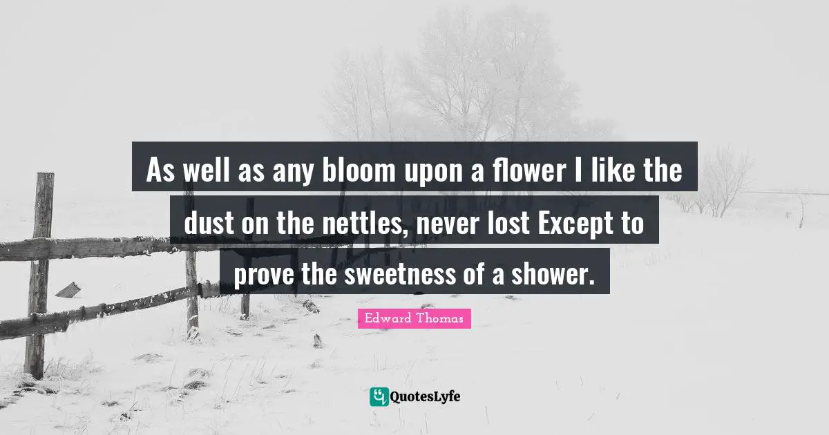 As well as any bloom upon a flower I like the dust on the nettles, never lost Except to prove the sweetness of a shower.