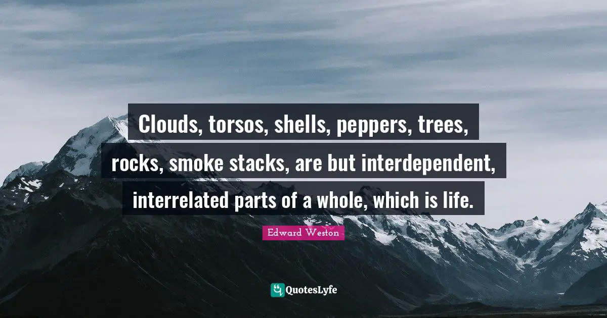 Clouds, torsos, shells, peppers, trees, rocks, smoke stacks, are but interdependent, interrelated parts of a whole, which is life.