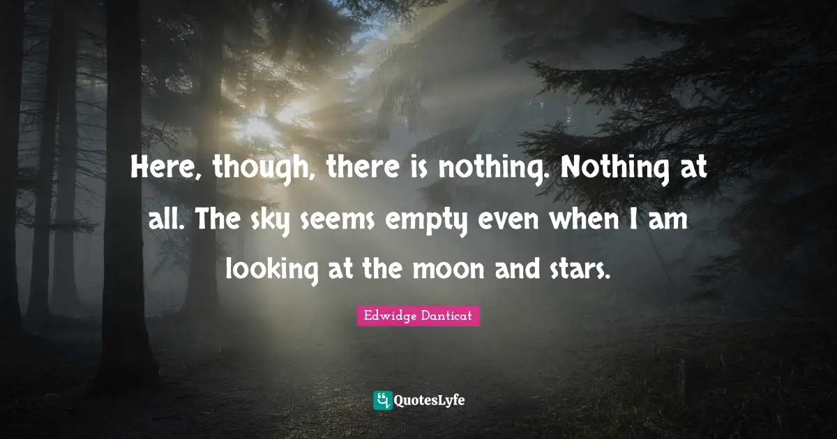 Here, though, there is nothing. Nothing at all. The sky seems empty even when I am looking at the moon and stars.