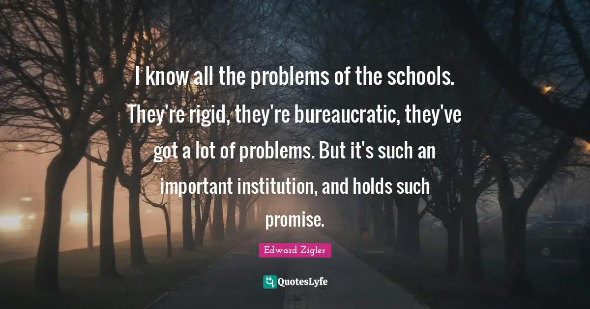 I know all the problems of the schools. They're rigid, they're bureaucratic, they've got a lot of problems. But it's such an important institution, and holds such promise.