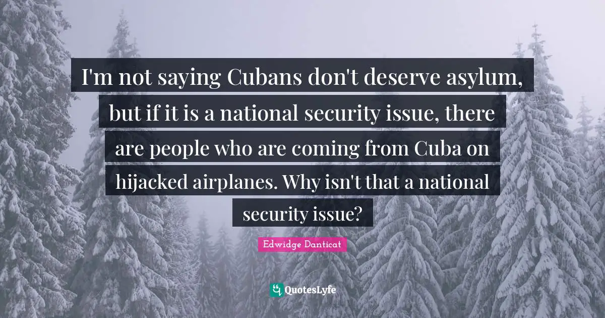 I'm not saying Cubans don't deserve asylum, but if it is a national security issue, there are people who are coming from Cuba on hijacked airplanes. Why isn't that a national security issue?