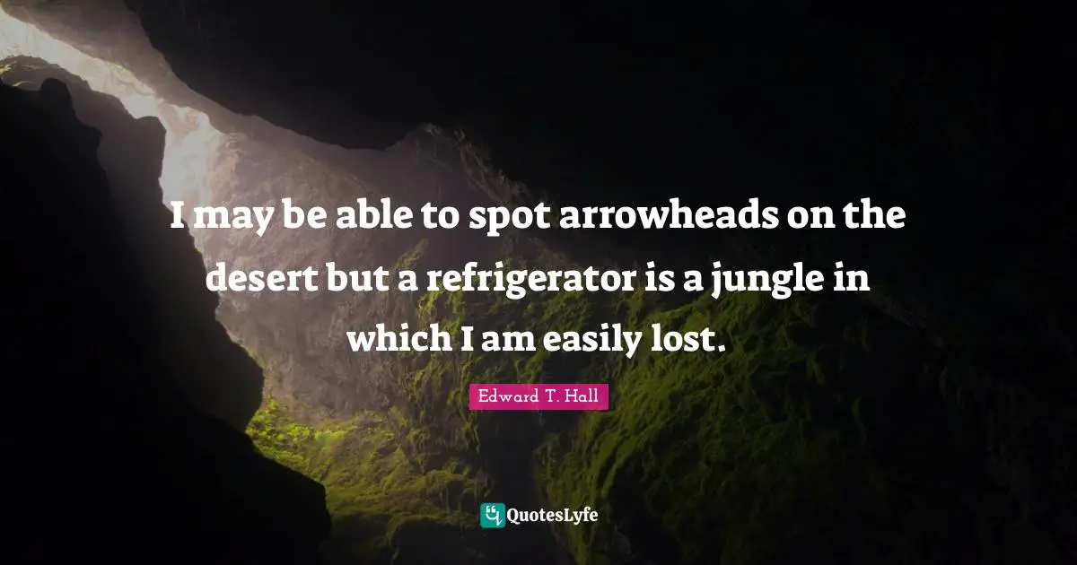 I may be able to spot arrowheads on the desert but a refrigerator is a jungle in which I am easily lost.