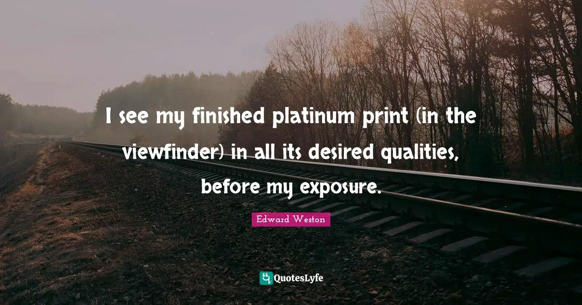 I see my finished platinum print (in the viewfinder) in all its desired qualities, before my exposure.