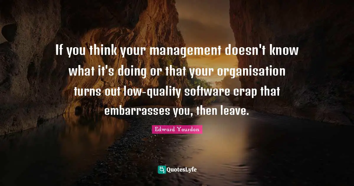 If you think your management doesn't know what it's doing or that your organisation turns out low-quality software crap that embarrasses you, then leave.