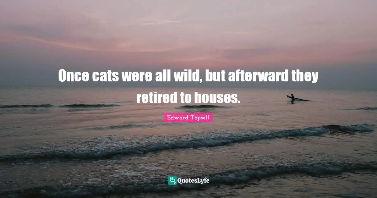 Once cats were all wild, but afterward they retired to houses.