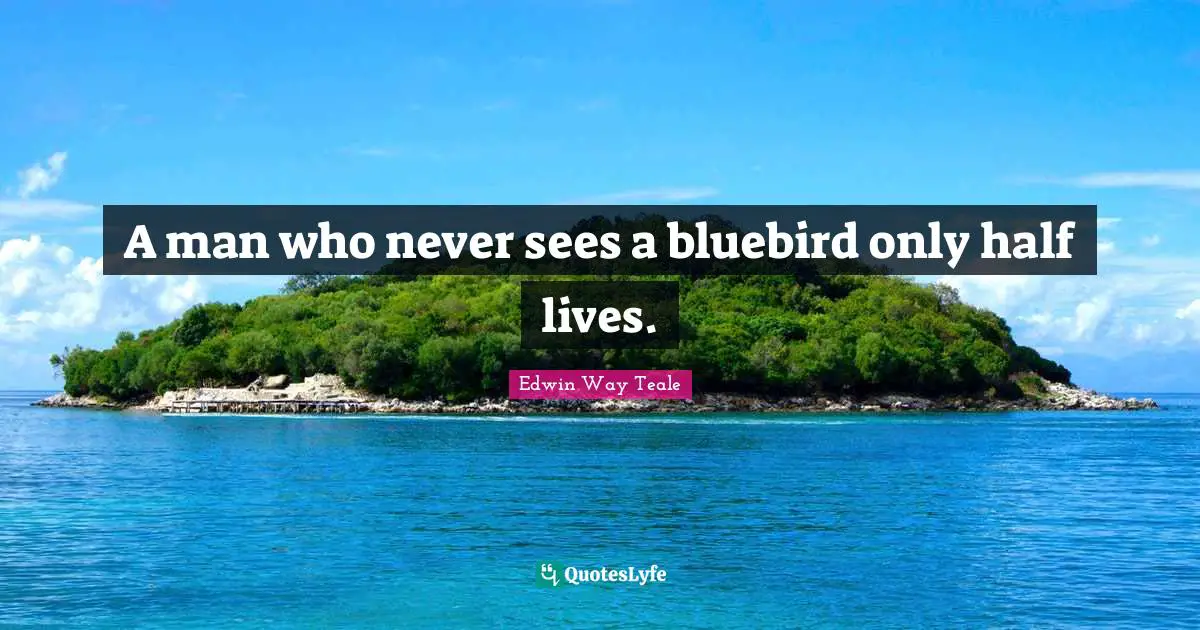 A man who never sees a bluebird only half lives.