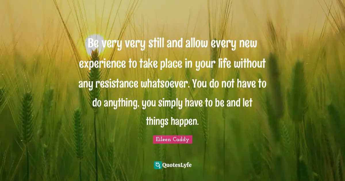 Resistance Quotes: "Be very very still and allow every new experience to take place in your life without any resistance whatsoever. You do not have to do anything, you simply have to be and let things happen."