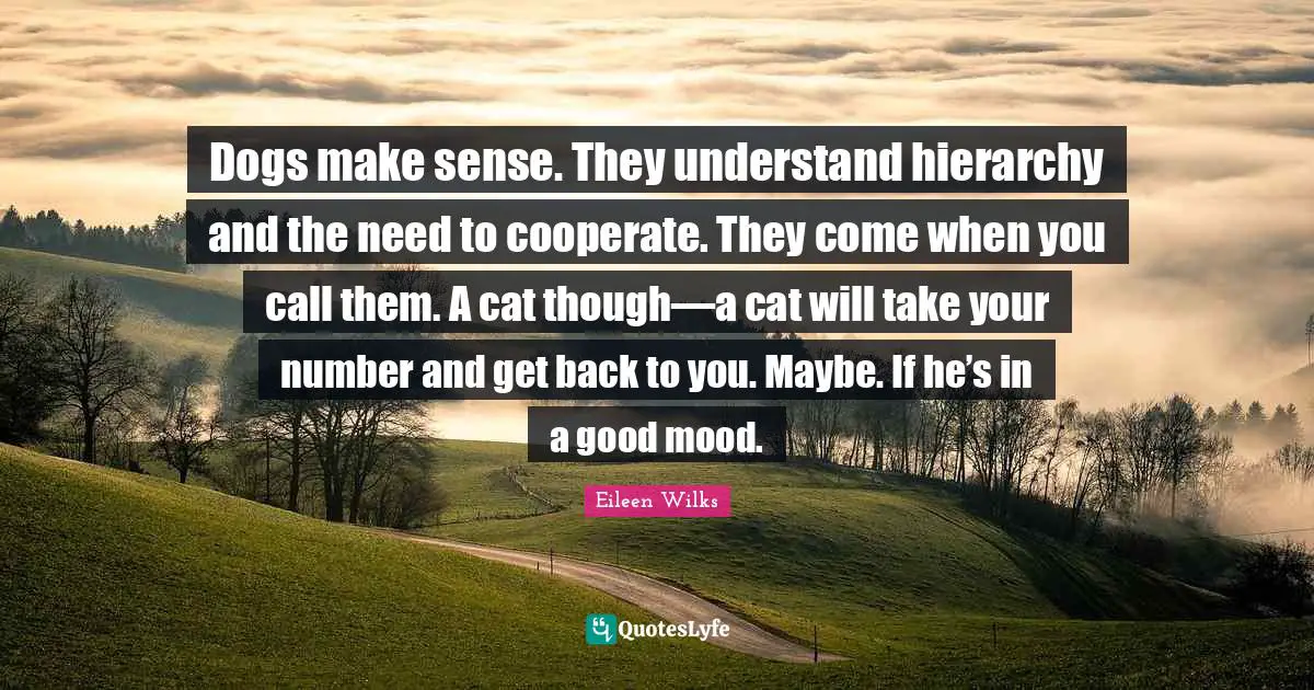 Dogs make sense. They understand hierarchy and the need to cooperate. They come when you call them. A cat though—a cat will take your number and get back to you. Maybe. If he’s in a good mood.