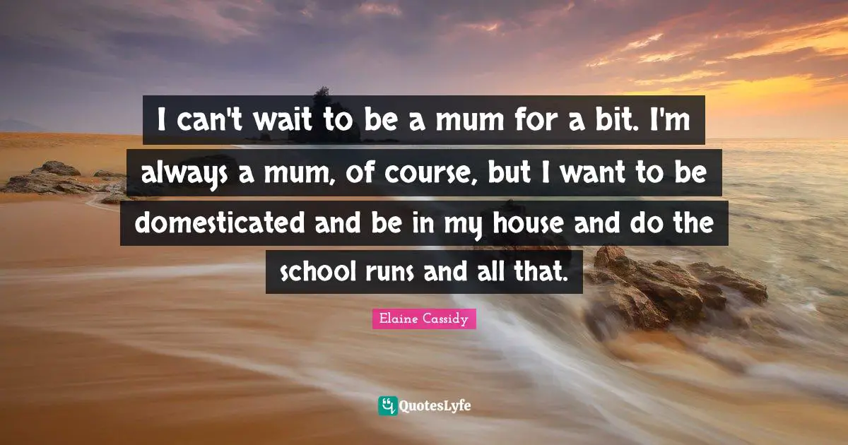 I can't wait to be a mum for a bit. I'm always a mum, of course, but I want to be domesticated and be in my house and do the school runs and all that.